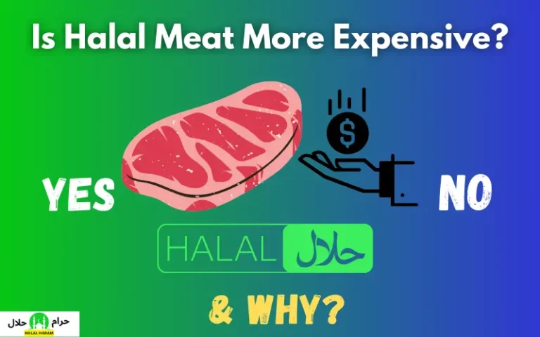 Is Halal Meat More Expensive? (All Clear)