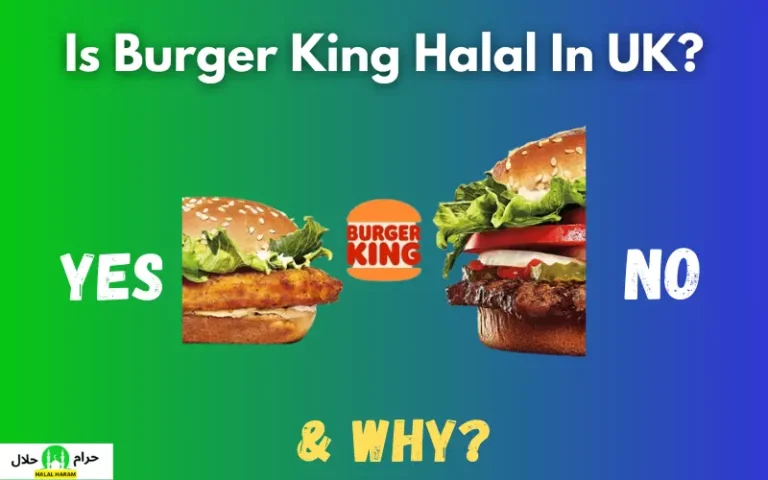 Is Burger King Halal In The UK? 2024